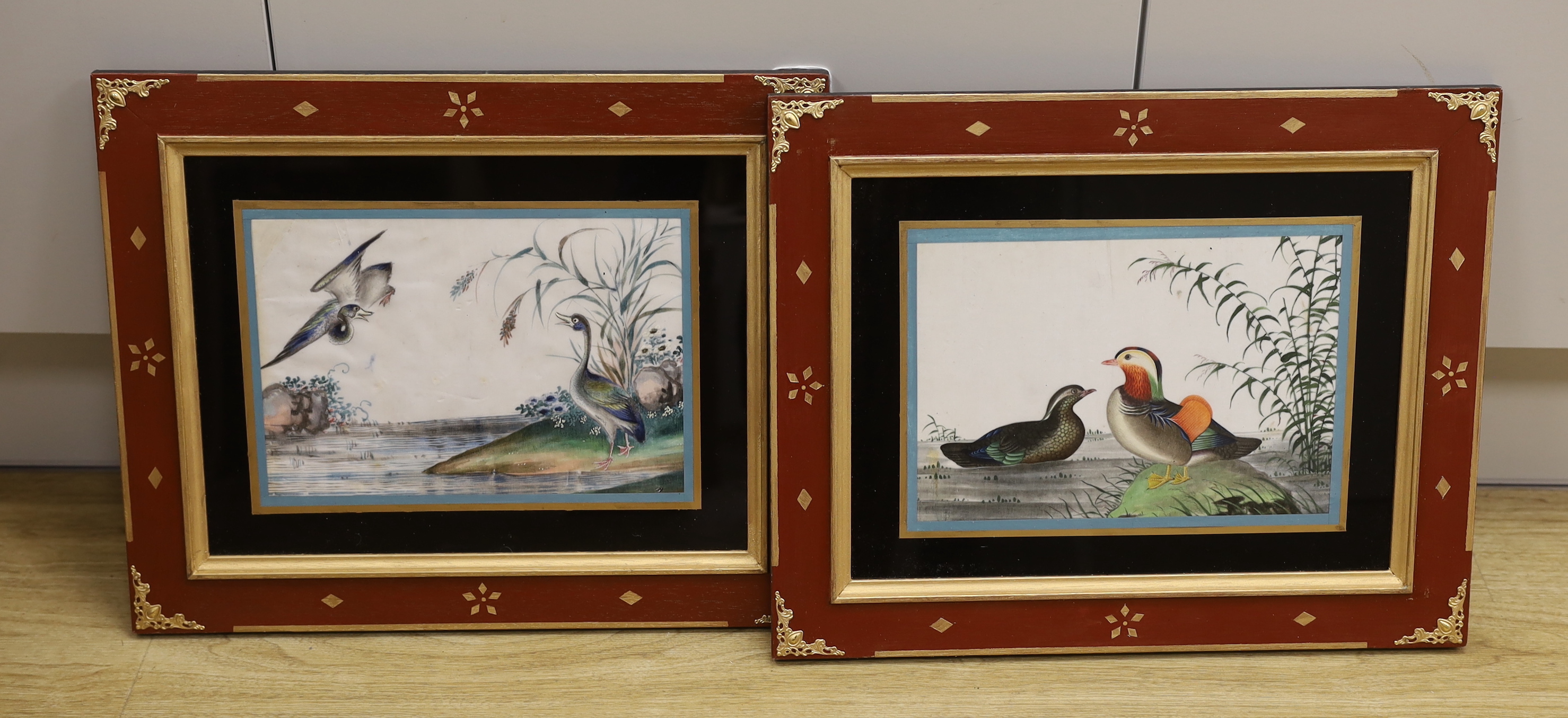 19th century Chinese school, pair of pith paper paintings, Birds beside water, each 16.5 x 25cm, housed in decorative frames
